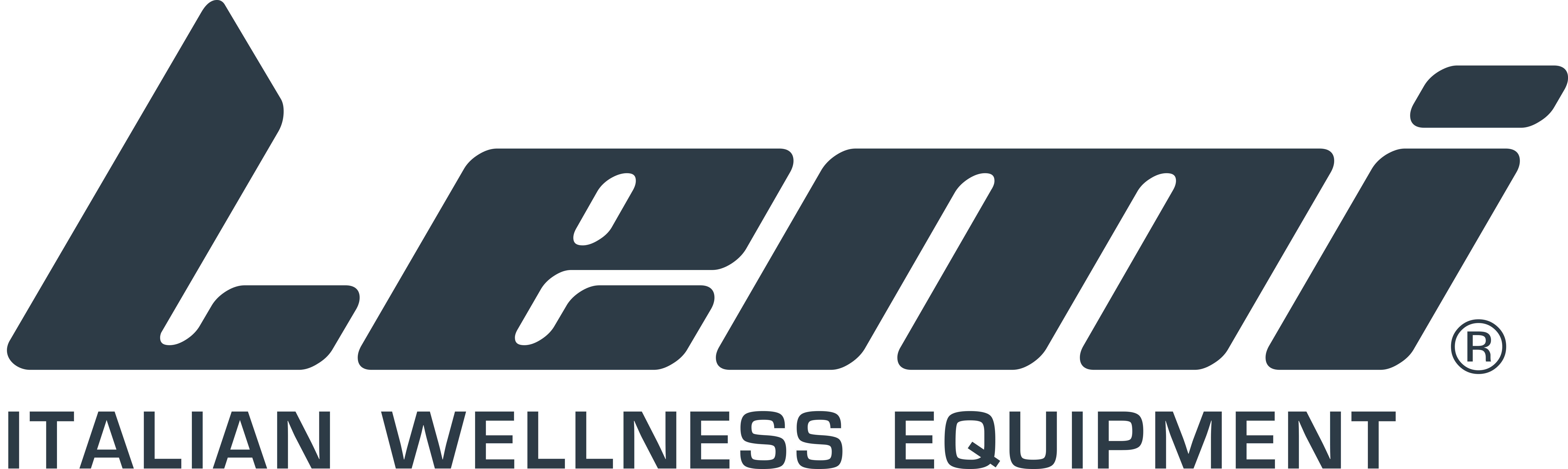 Lemi Group - Logo